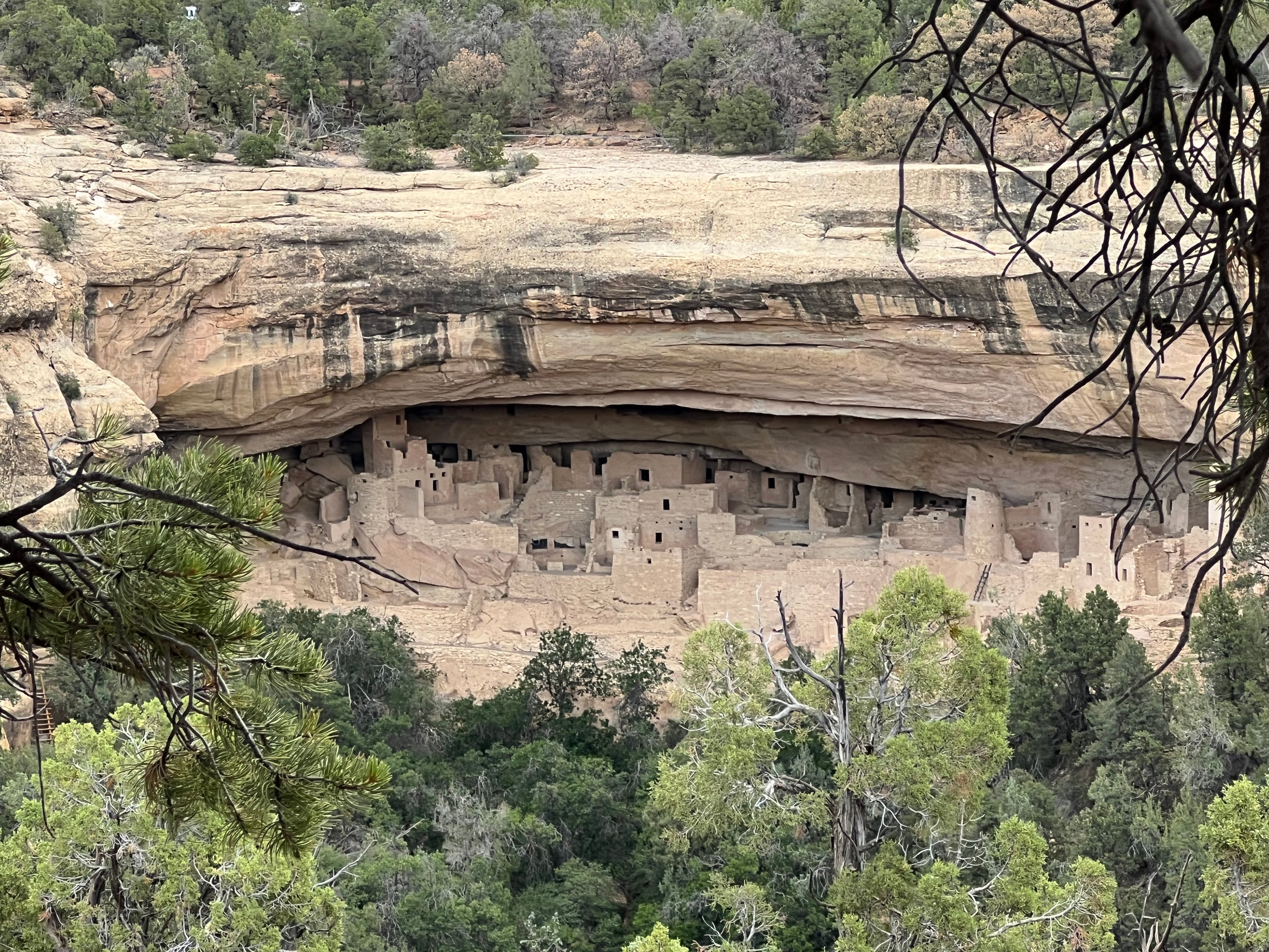Cliff Palace at Mesa Verde — the largest cliff dwelling in North America