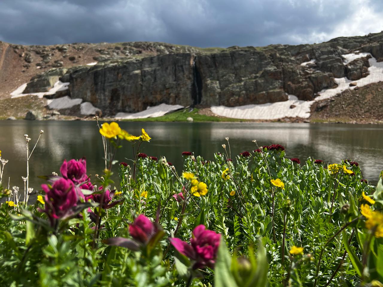 Alpine lake and summer wildflowers