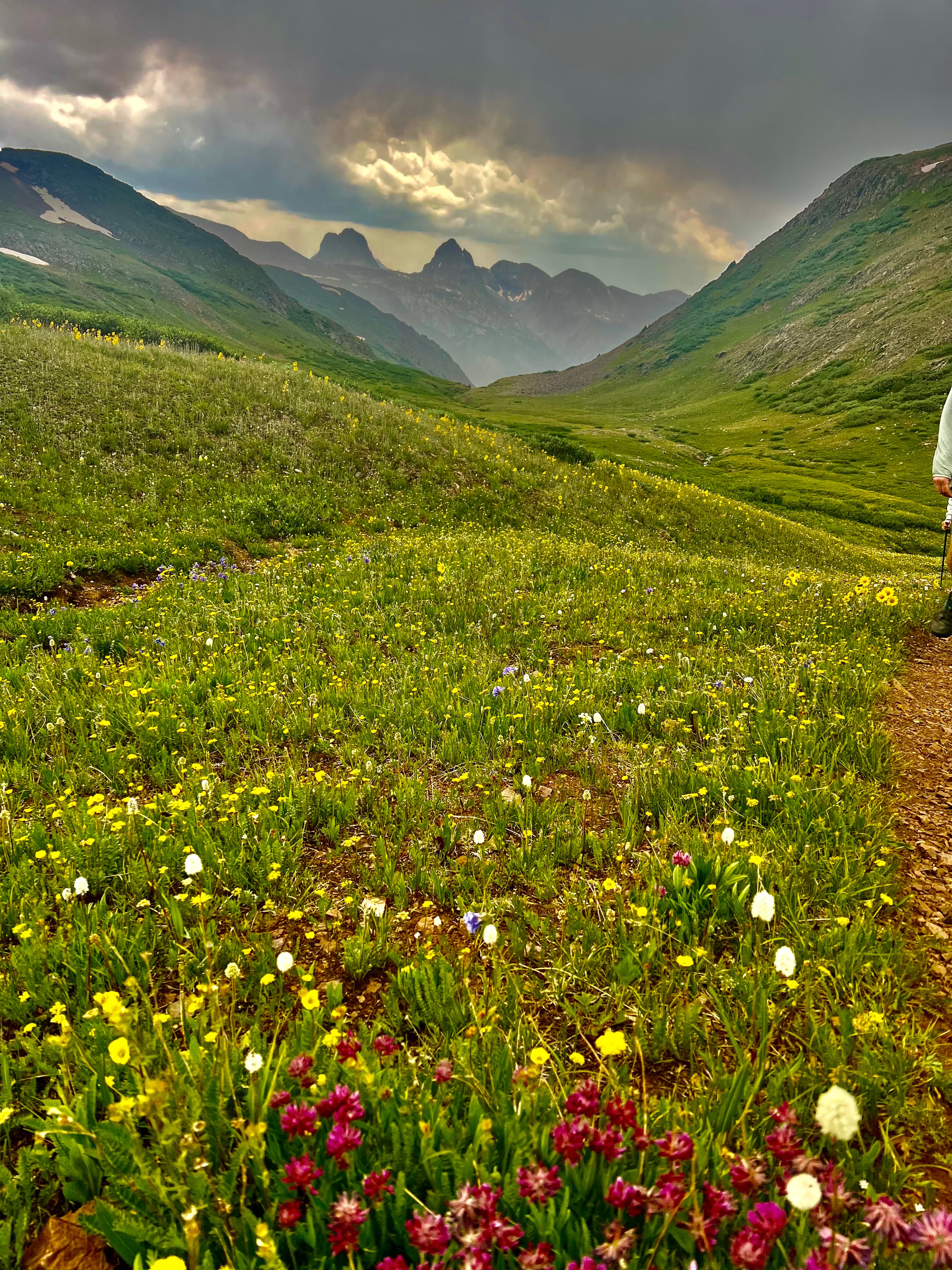 Wildflower meadow with dramatic San Juan peaks