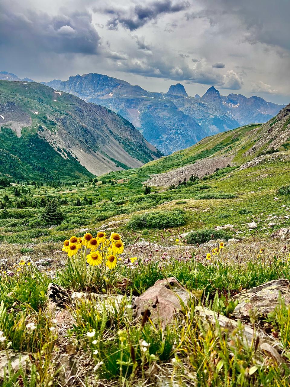 Alpine valley with wildflowers and mountain peaks